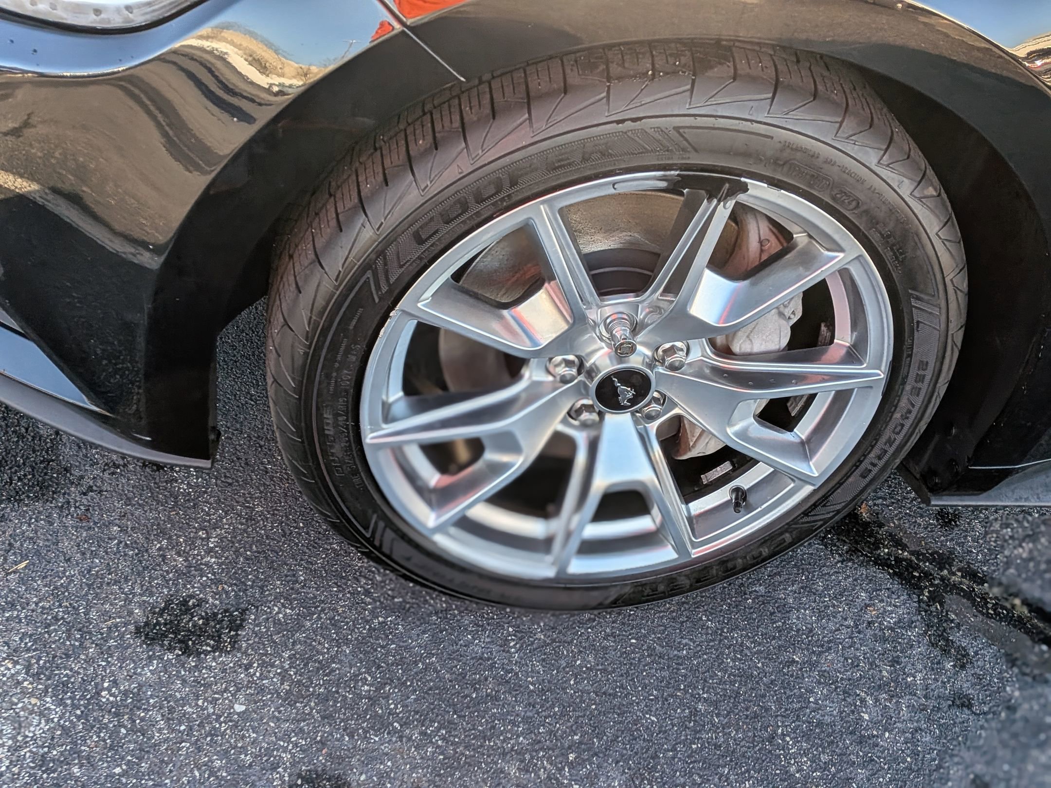 Used 2015 Ford Mustang GT Premium w/ Equipment Group 401A image 12