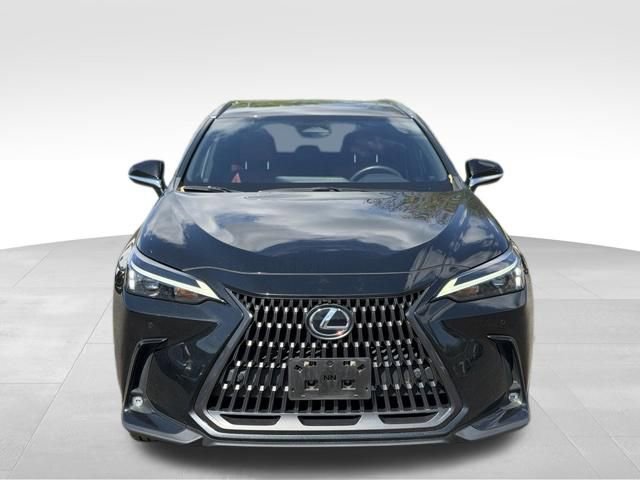 Used 2024 Lexus NX 350 AWD w/ Cold Area Package image 2