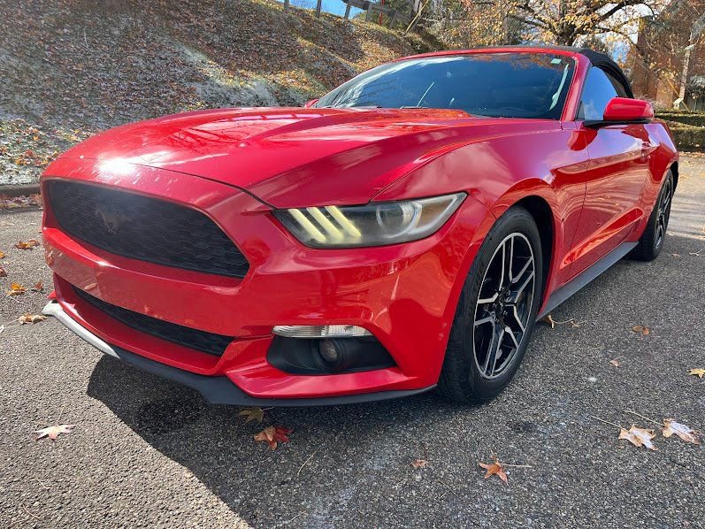 Used 2016 Ford Mustang Premium image 29