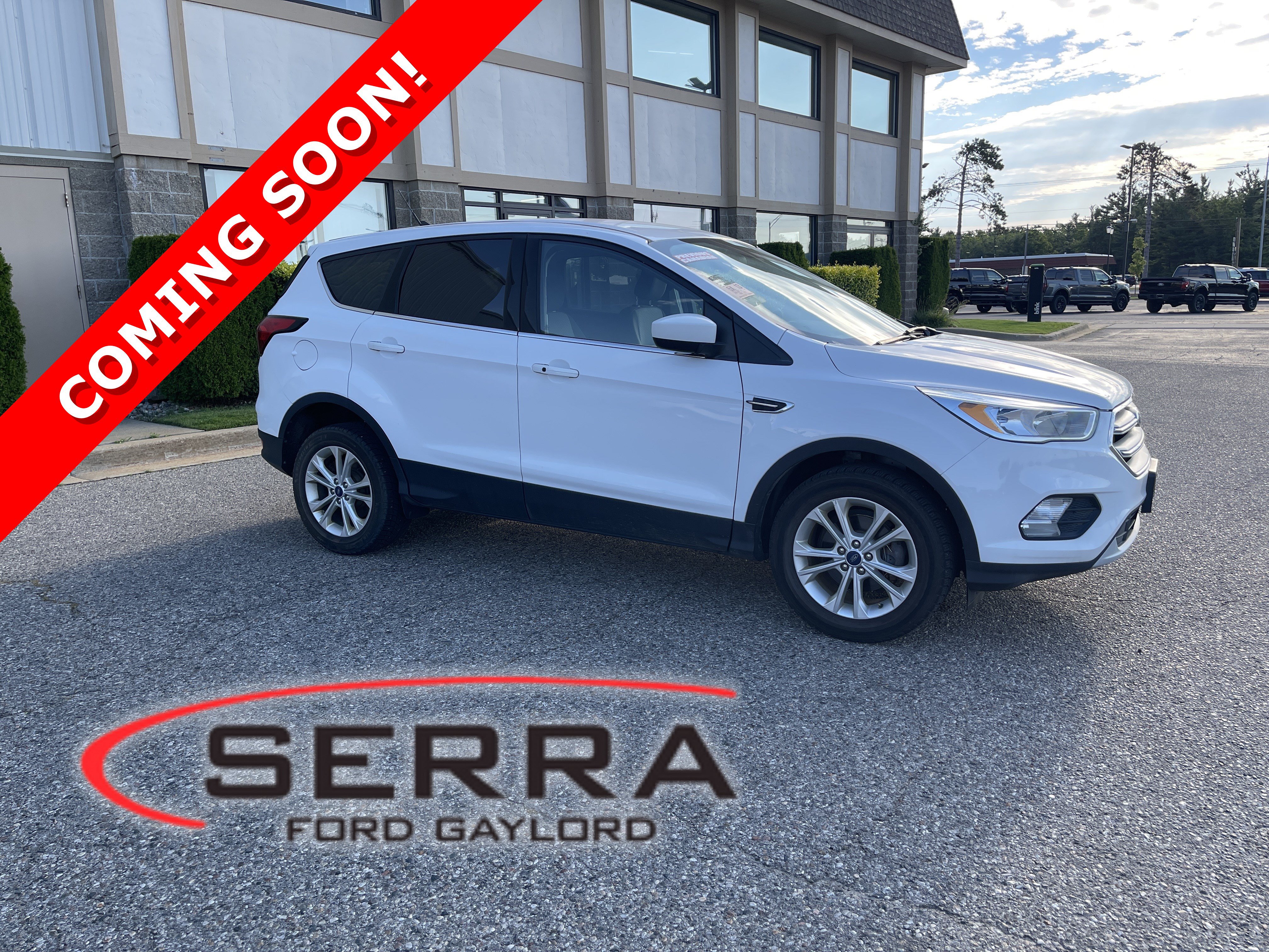 Used 2019 Ford Escape SE