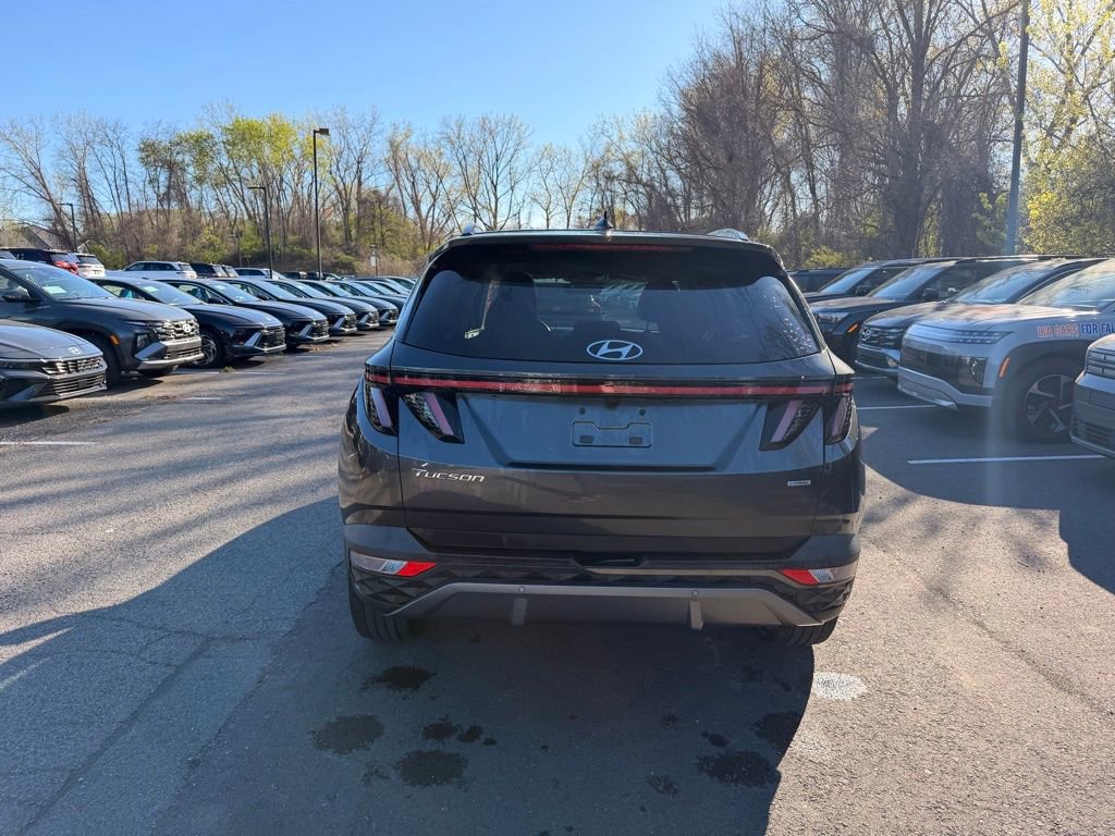 Used 2023 Hyundai Tucson Limited AWD/4WD image 4