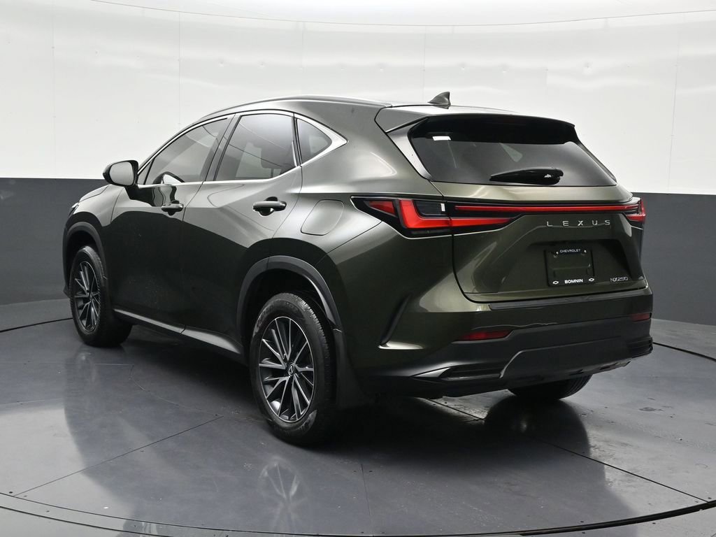 Used 2024 Lexus NX 250 250 Base w/ Cold Area Package image 3