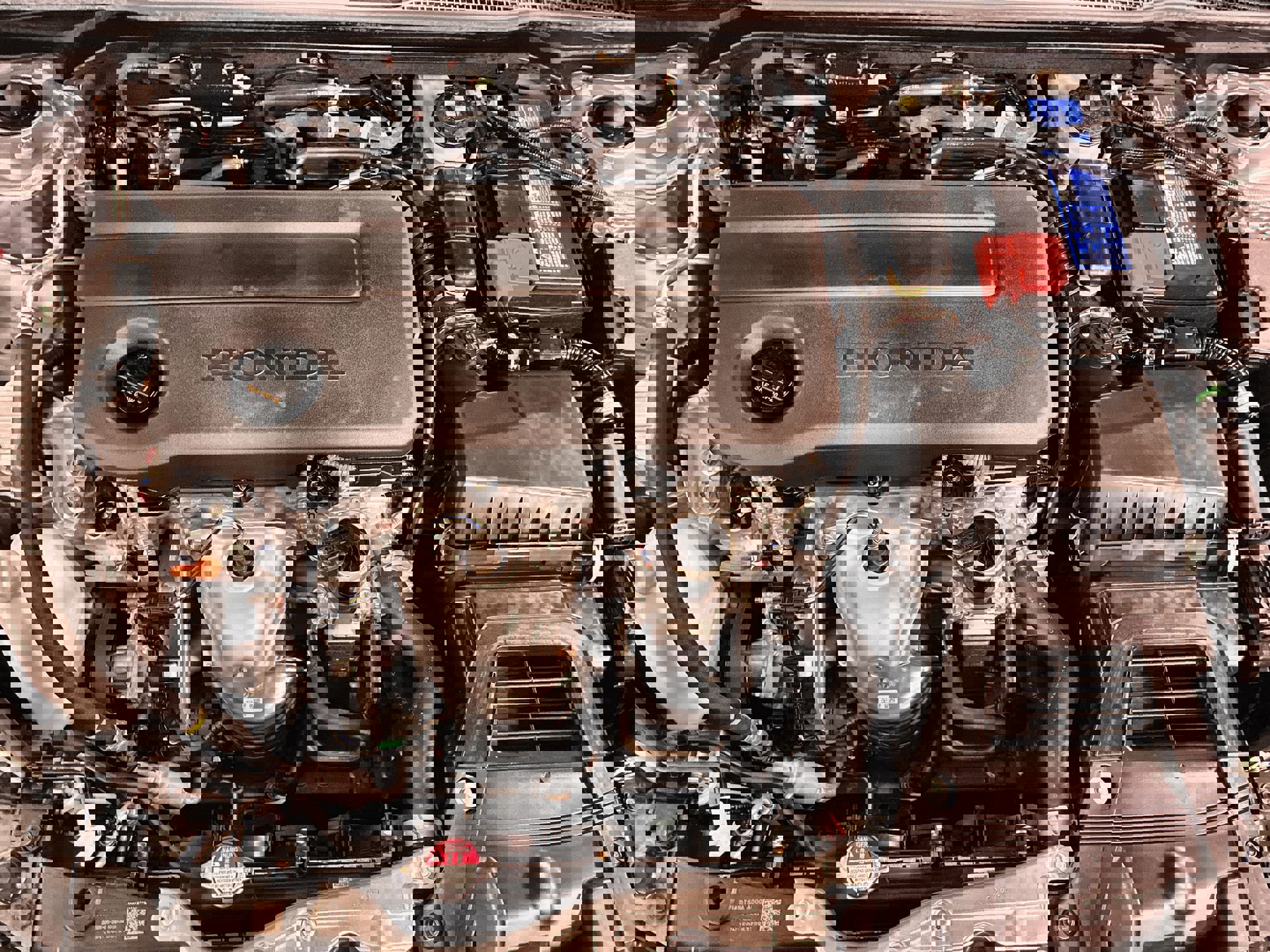 Certified 2025 Honda Civic Sport image 15