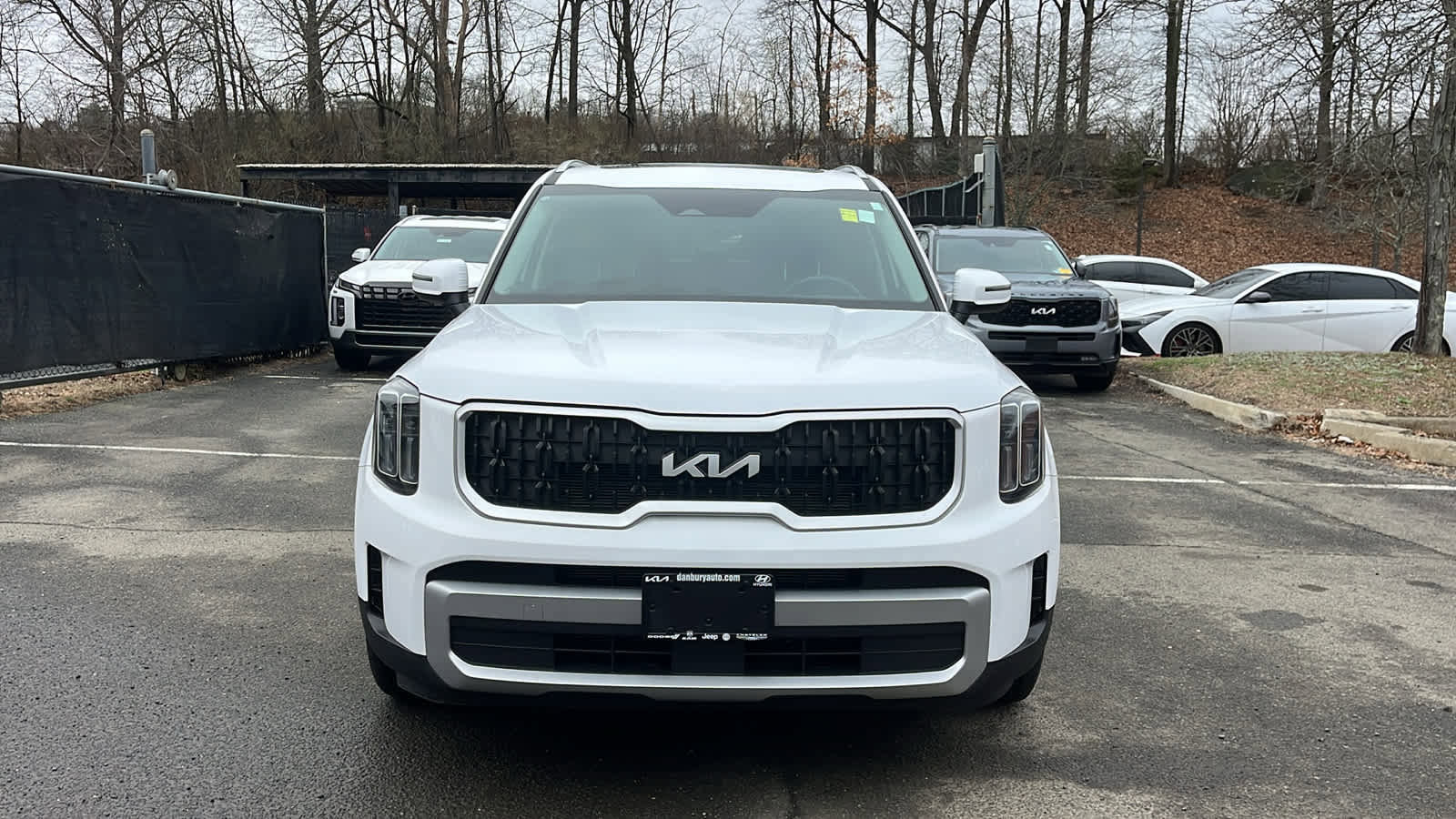 Used 2023 Kia Telluride EX image 2