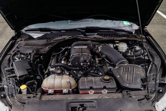 Used 2017 Ford Mustang GT Premium image 16