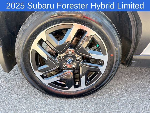 Certified 2025 Subaru Forester Limited w/ Protection Package (1PH) AWD/4WD image 19