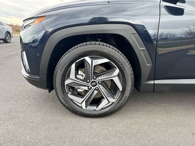 Used 2023 Hyundai Tucson Limited image 13