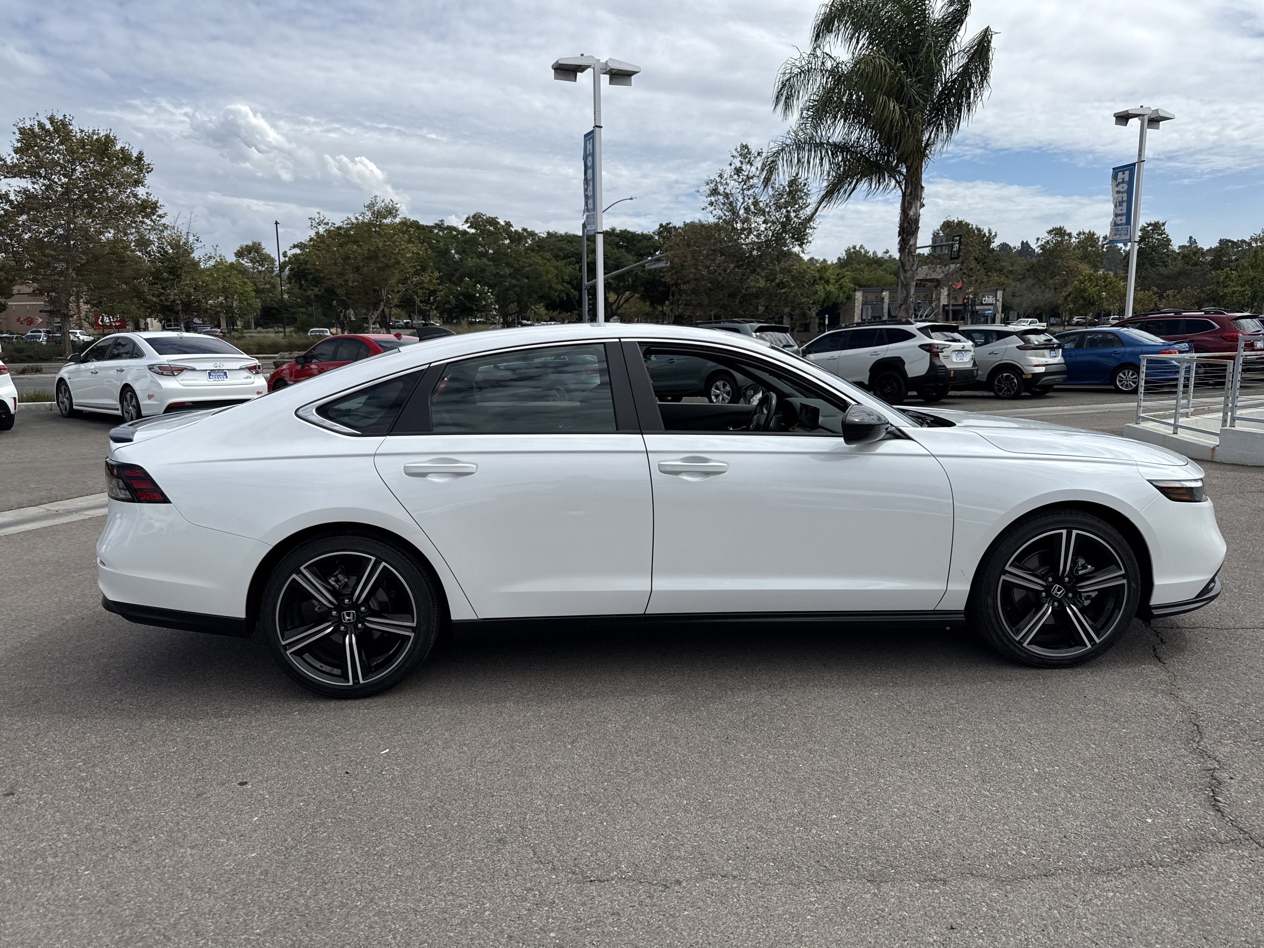 Certified 2025 Honda Accord Sport image 6
