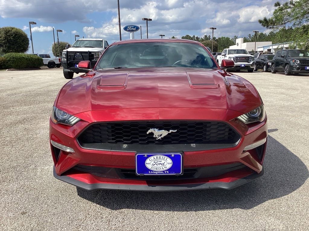 Used 2019 Ford Mustang Coupe image 2