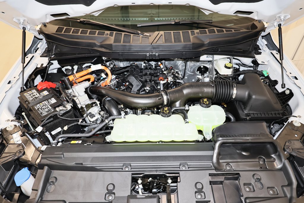 New 2025 Ford F150 XLT w/ Equipment Group 302A MID image 32