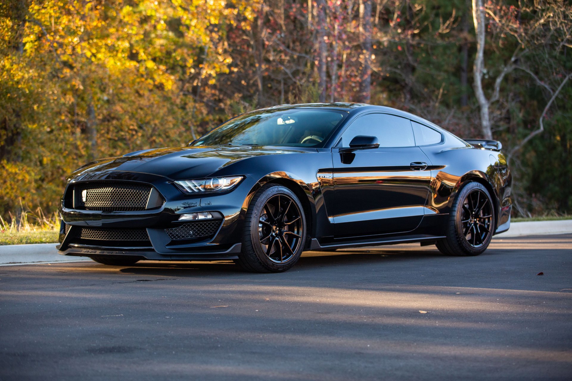 Used 2019 Ford Mustang Shelby GT350 w/ Technology Package image 22