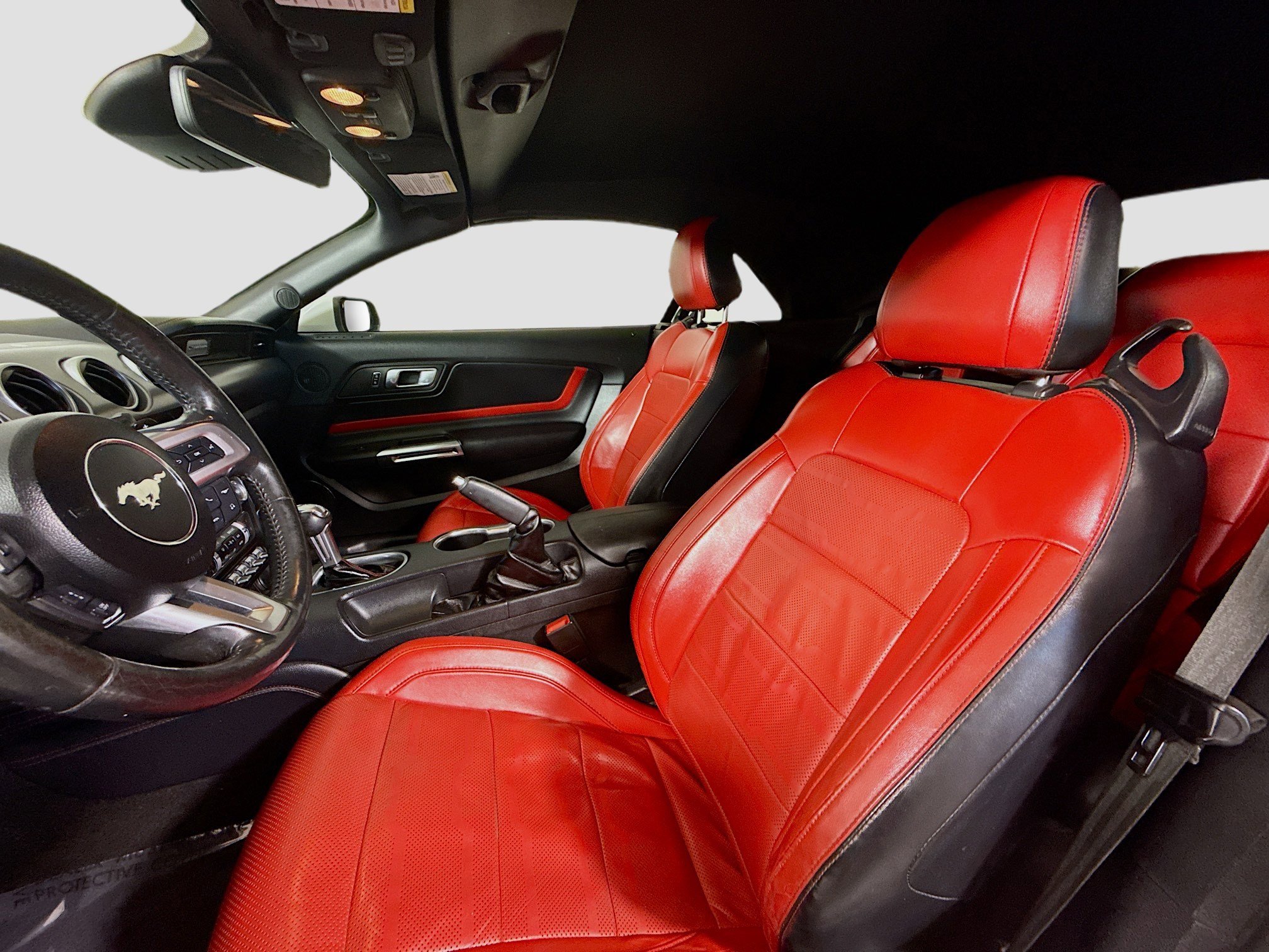 Used 2019 Ford Mustang GT Premium w/ Equipment Group 401A image 22