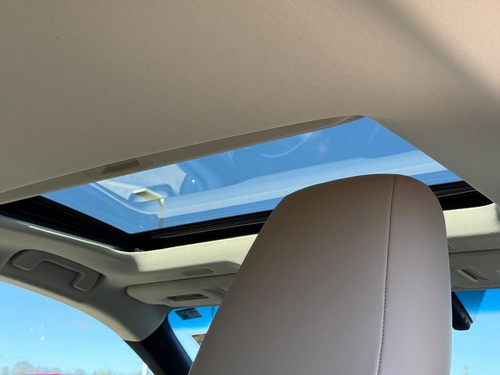 Used 2021 Lexus ES 250 w/ Premium Package image 13