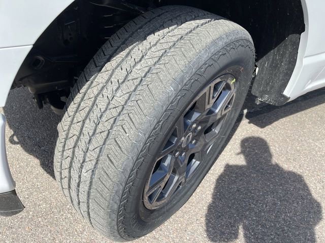 New 2026 Ford F150 STX w/ Equipment Group 200A image 11