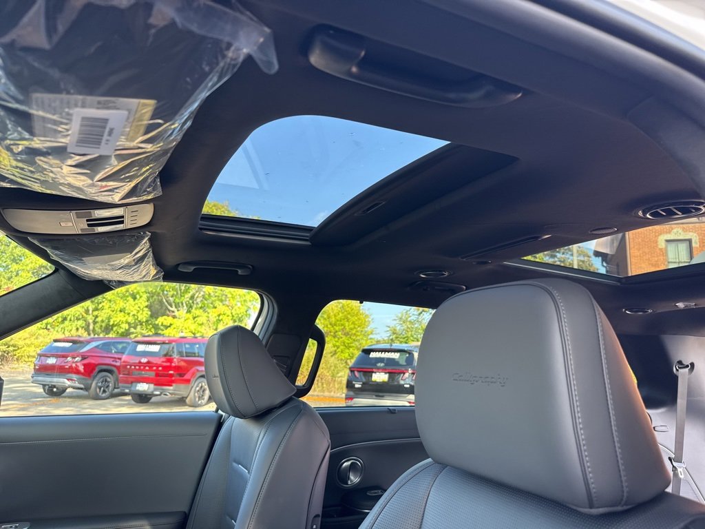 New 2026 Hyundai Palisade Calligraphy image 14