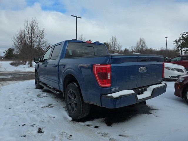 Used 2023 Ford F150 XLT w/ Equipment Group 302A High image 2
