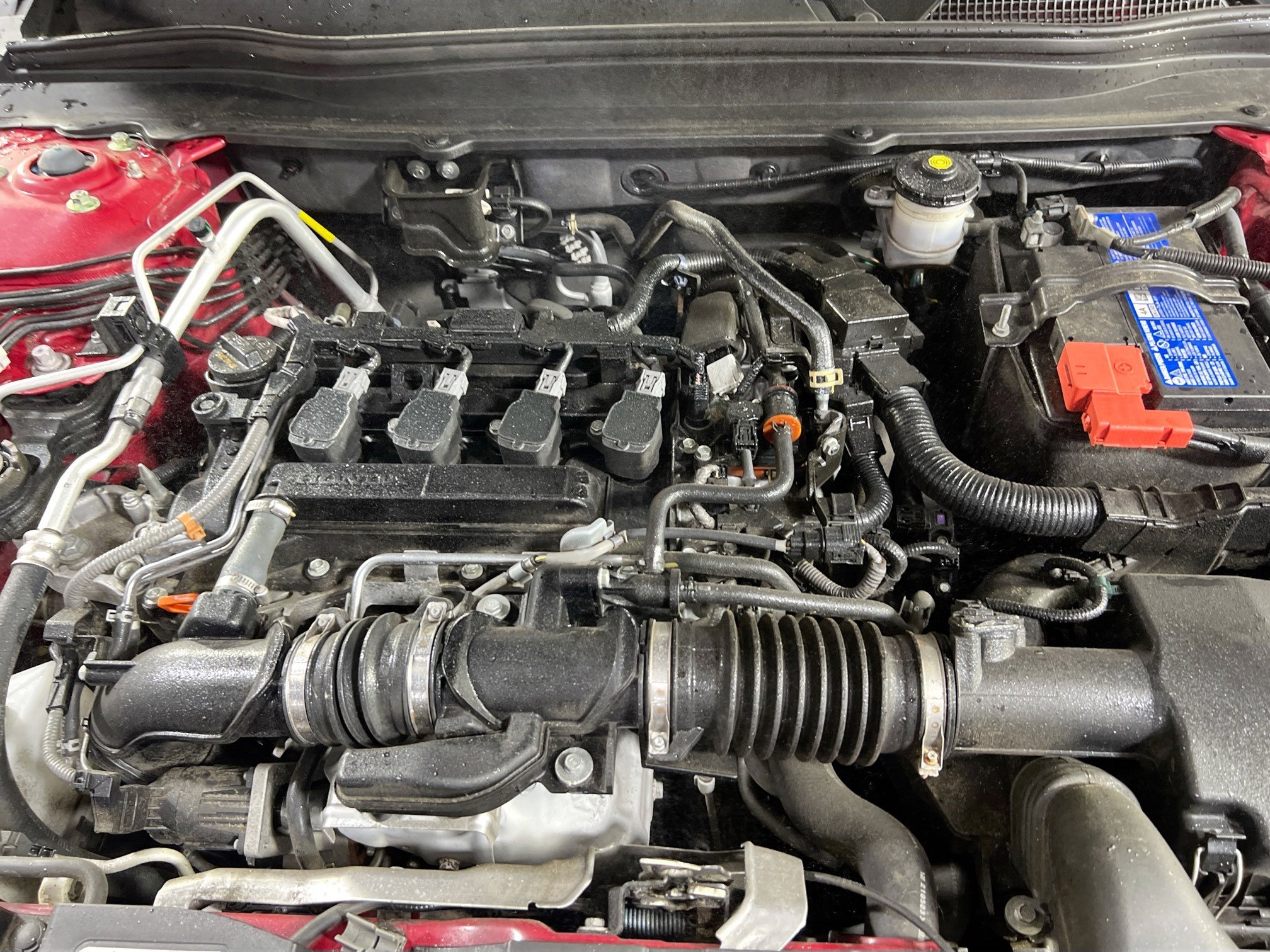 Used 2022 Honda Accord Sport Special Edition image 28