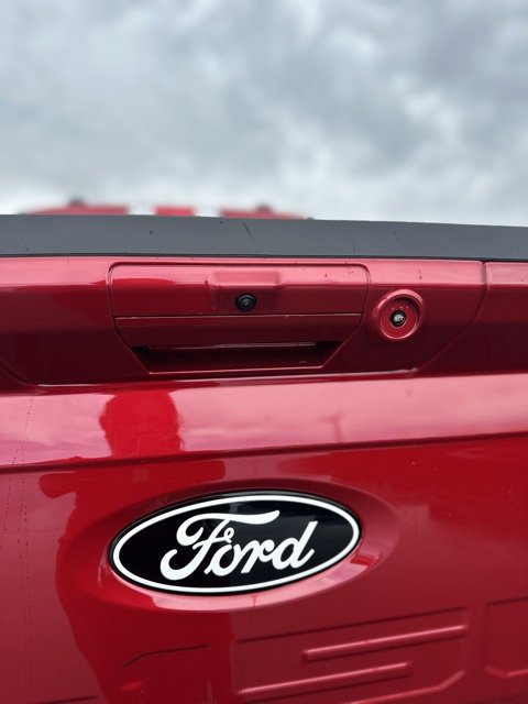 New 2025 Ford F150 XLT w/ Equipment Group 302A MID image 9
