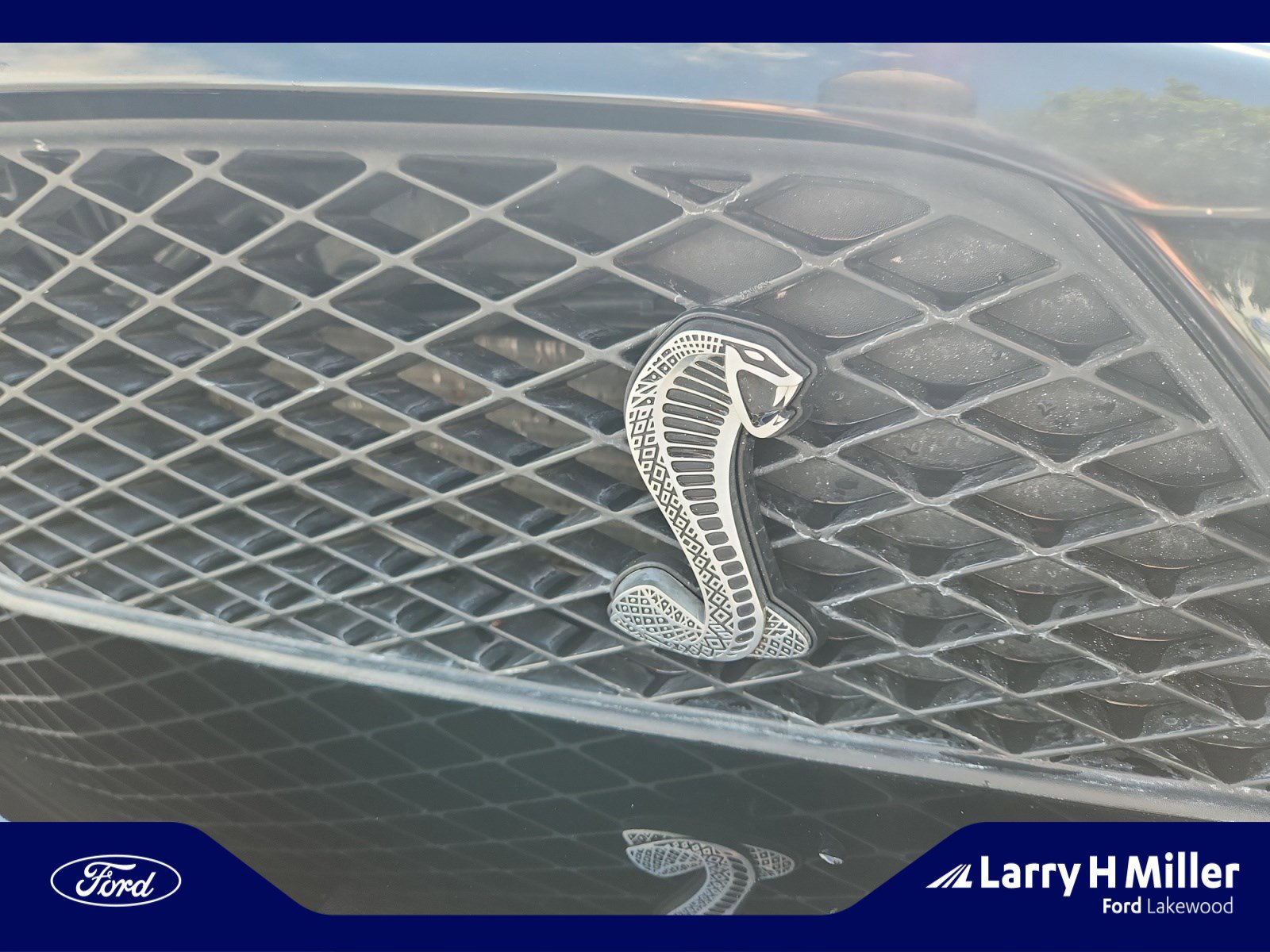 Used 2009 Ford Mustang Shelby GT500 image 22