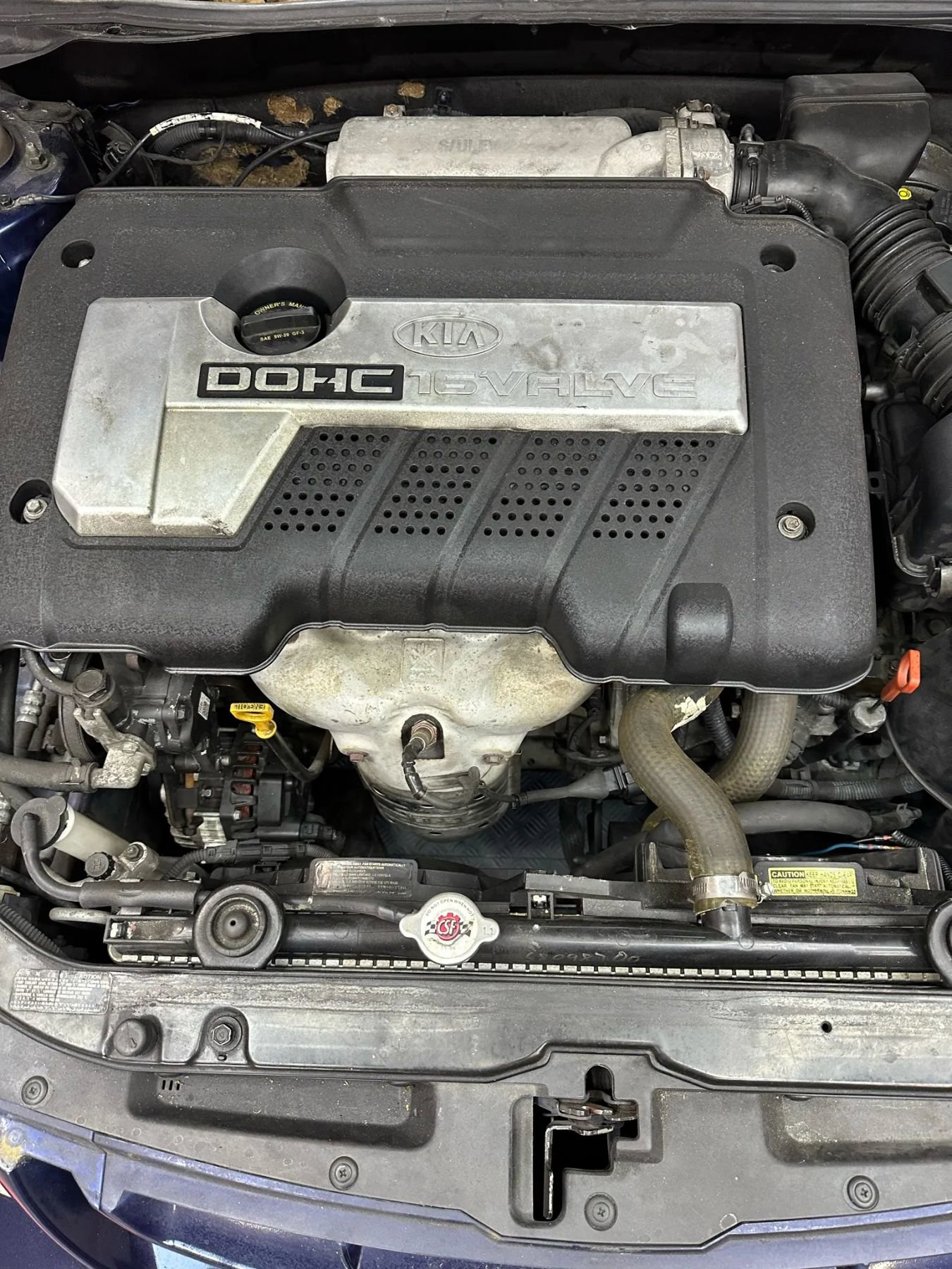 Used 2006 Kia Spectra EX FWD image 24