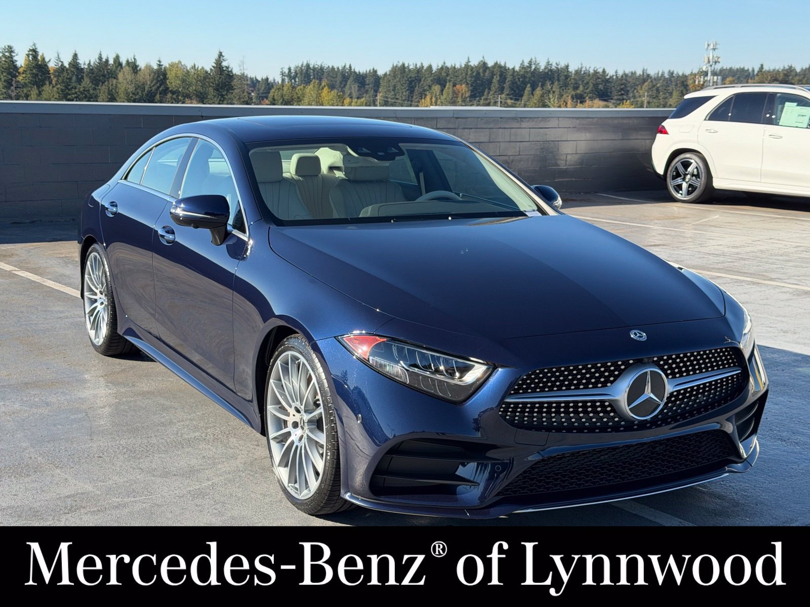 Used 2019 Mercedes-Benz CLS 450 image 3