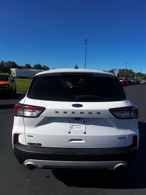 Used 2020 Ford Escape SE AWD/4WD image 4