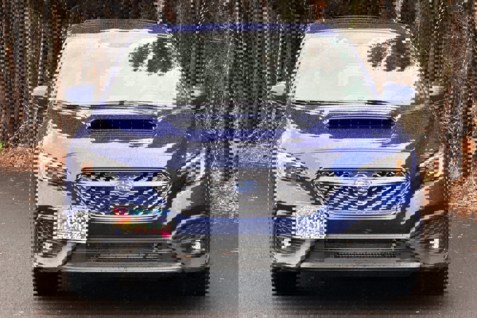 Used 2024 Subaru WRX Premium image 9