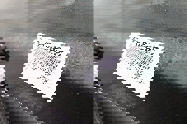 New 2026 Ford F150 STX w/ Equipment Group 200A image 31