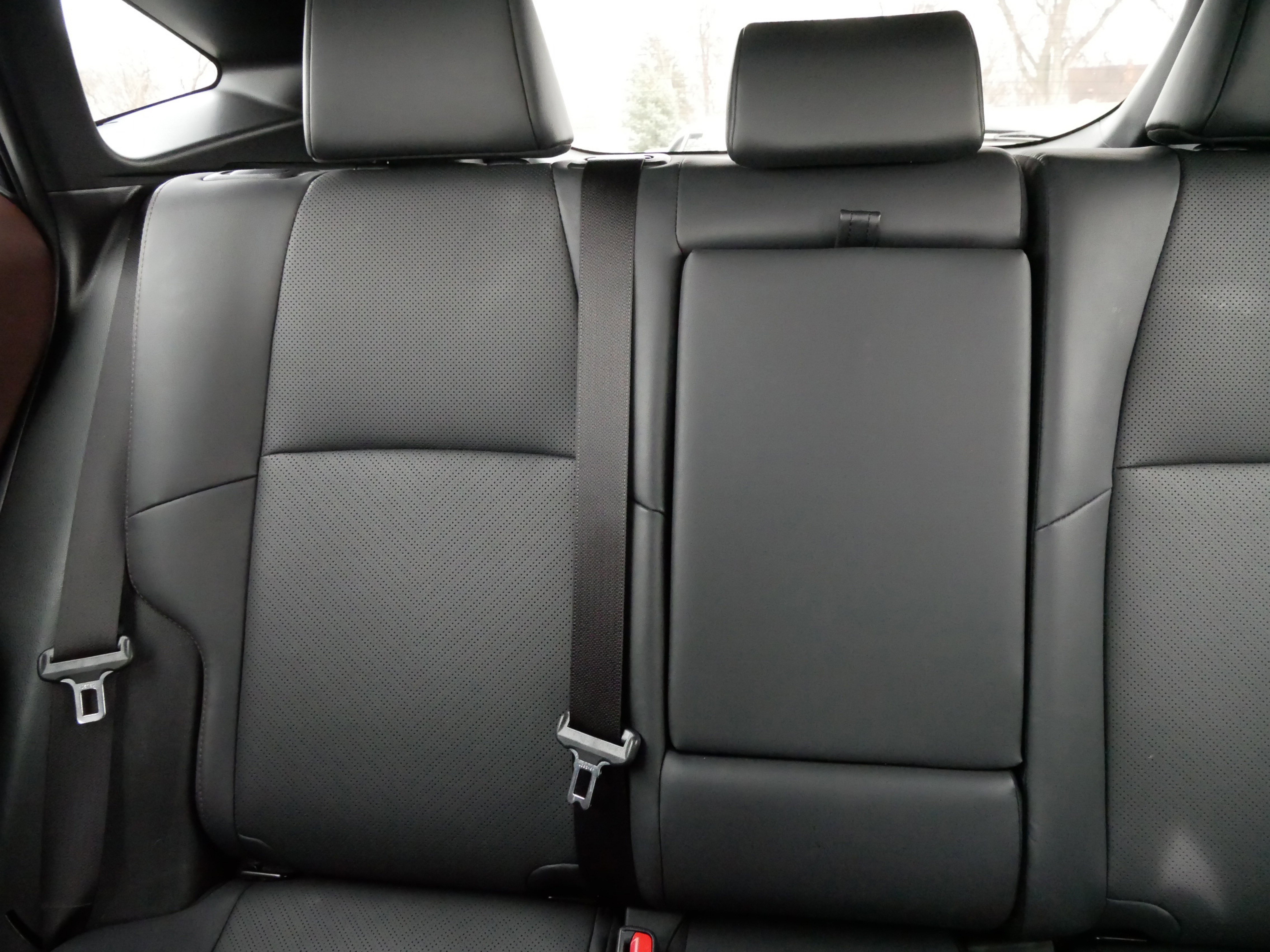 New 2024 Toyota Venza Limited image 12