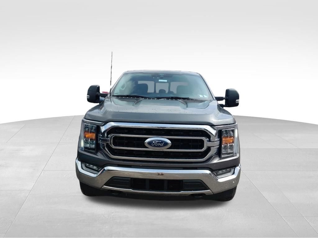 Used 2022 Ford F150 XLT w/ Equipment Group 302A High image 2