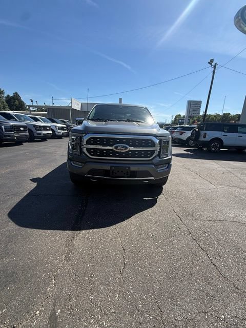 Used 2023 Ford F150 Platinum w/ Equipment Group 701A High AWD/4WD image 2