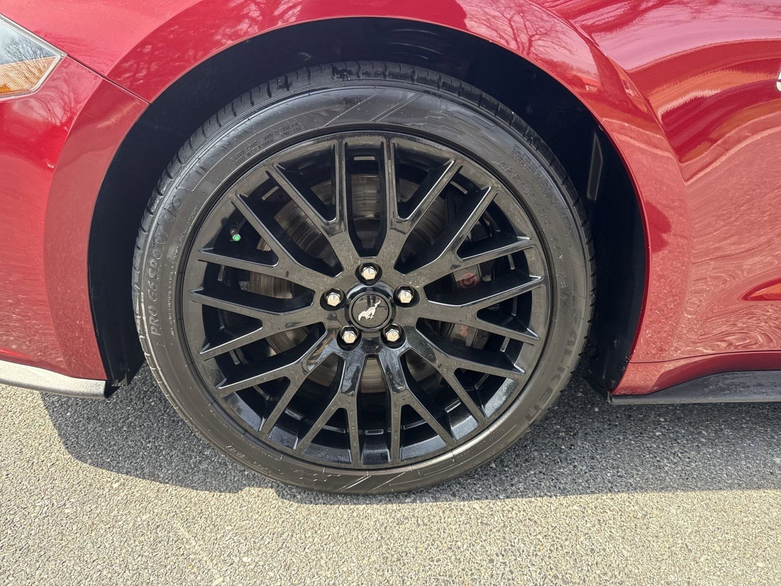 Used 2019 Ford Mustang GT w/ GT Performance Package image 12