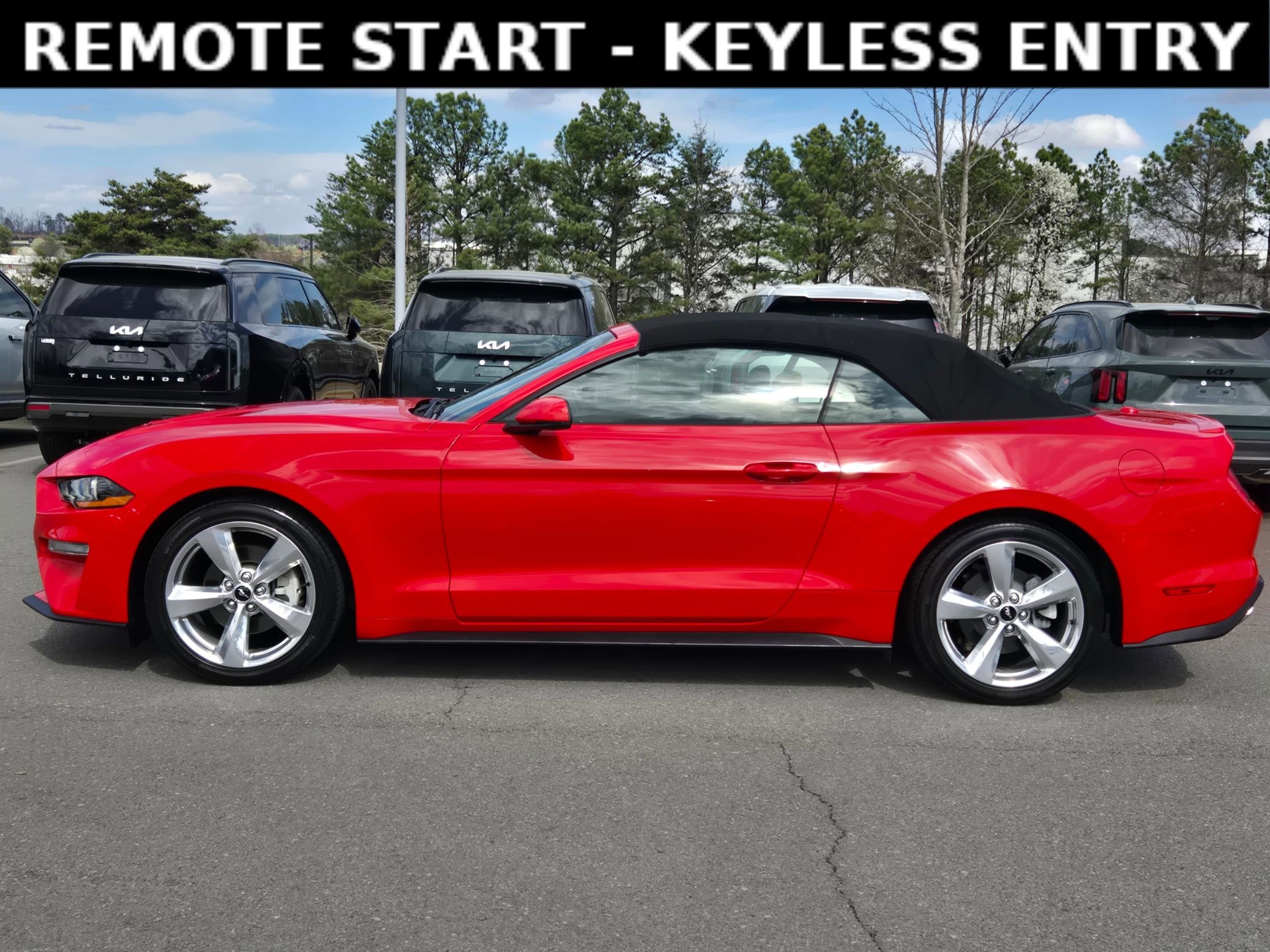 Used 2019 Ford Mustang Premium image 4