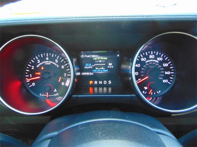 Used 2019 Ford Mustang GT w/ Equipment Group 301A image 16