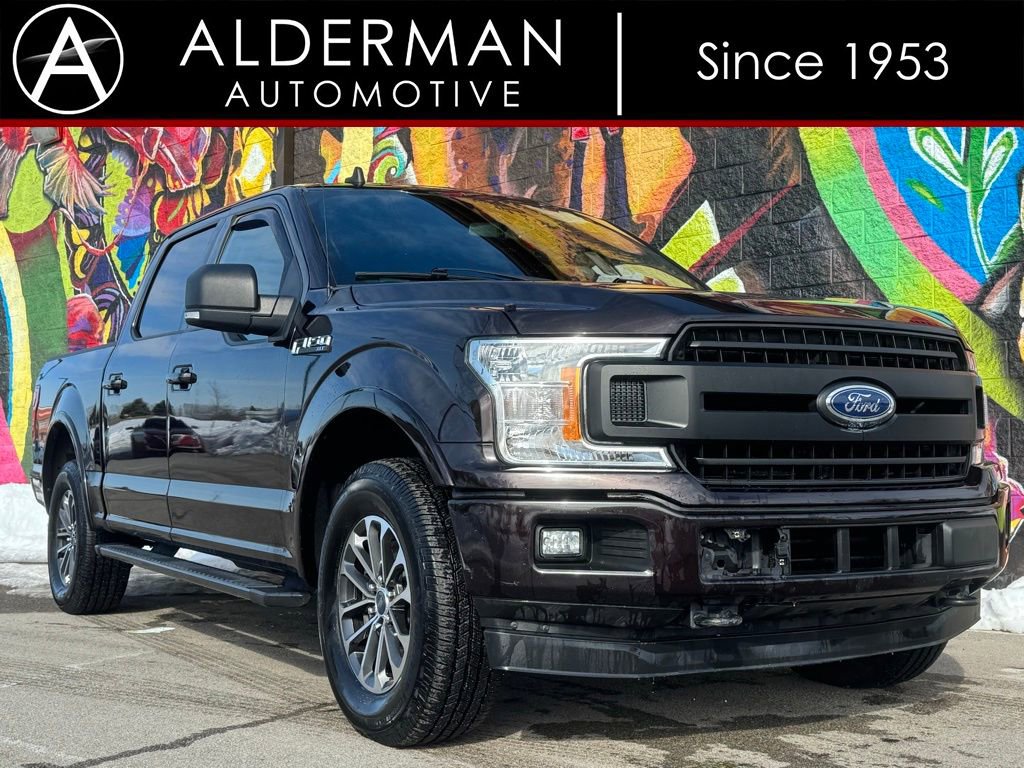 Used 2019 Ford F150 XLT w/ Equipment Group 302A Luxury image 1