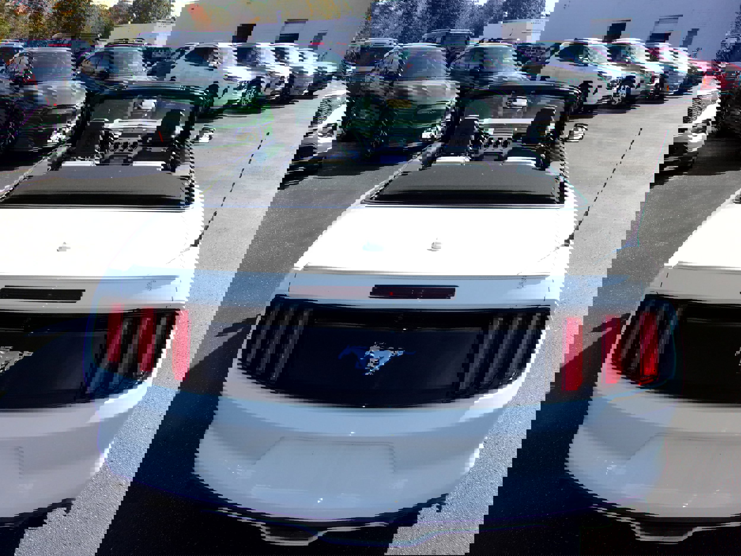 Used 2017 Ford Mustang Premium RWD image 16