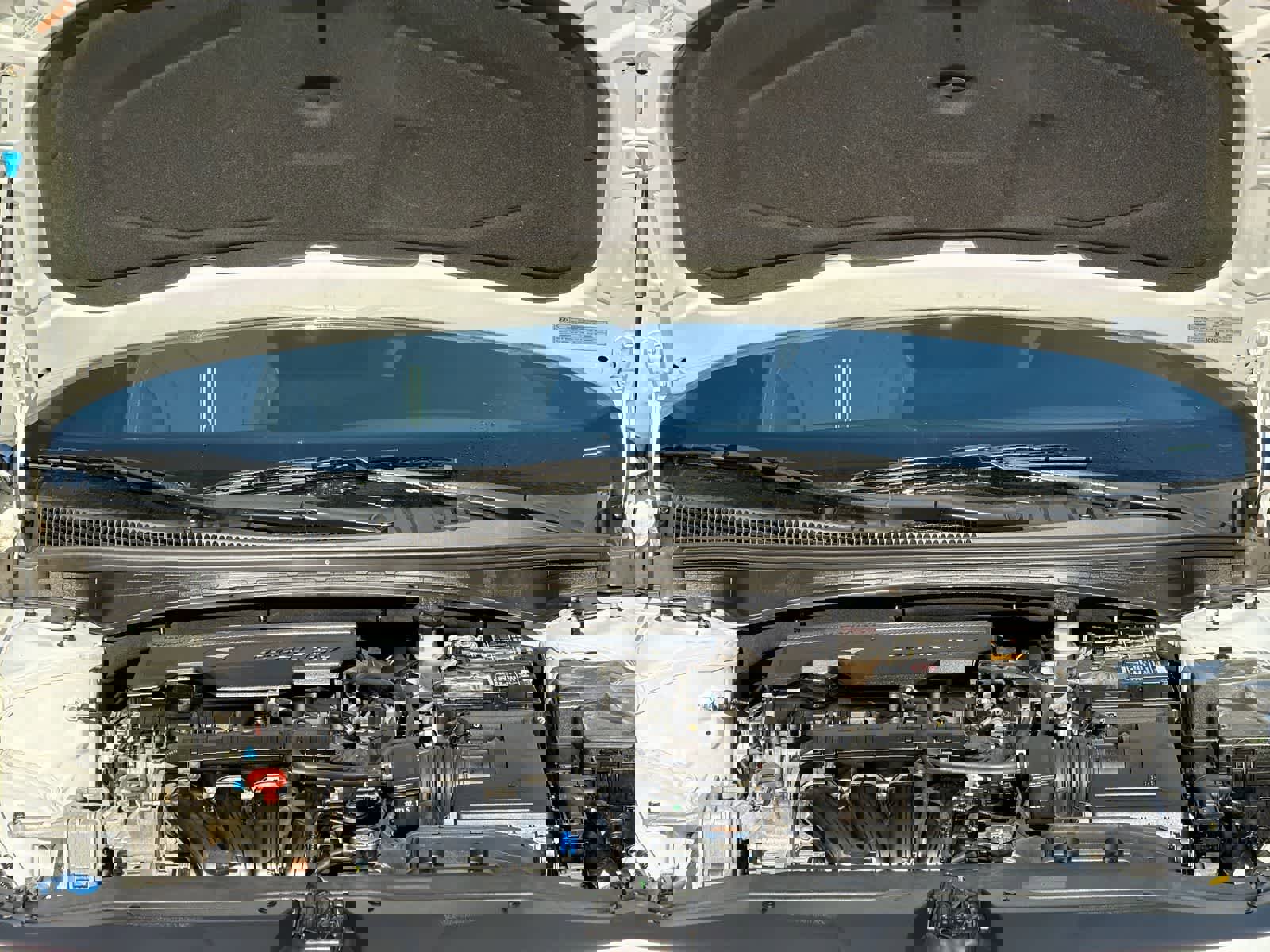 Used 2023 Hyundai Elantra SEL FWD image 15