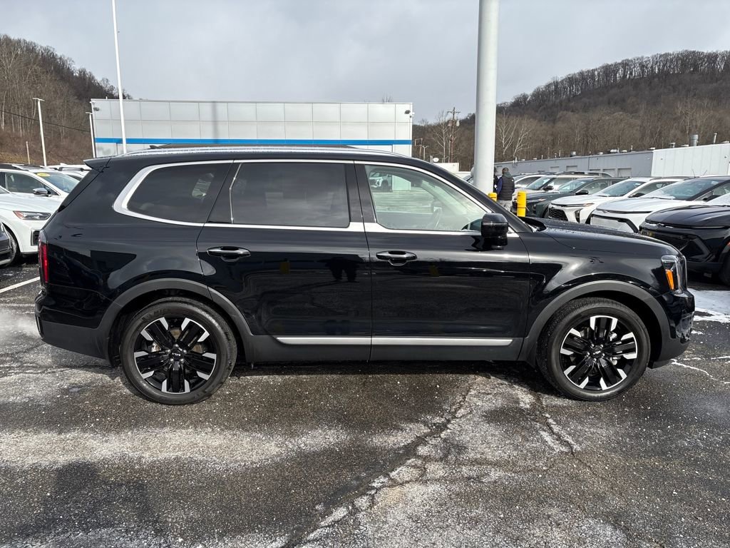 Used 2024 Kia Telluride SX Prestige image 6