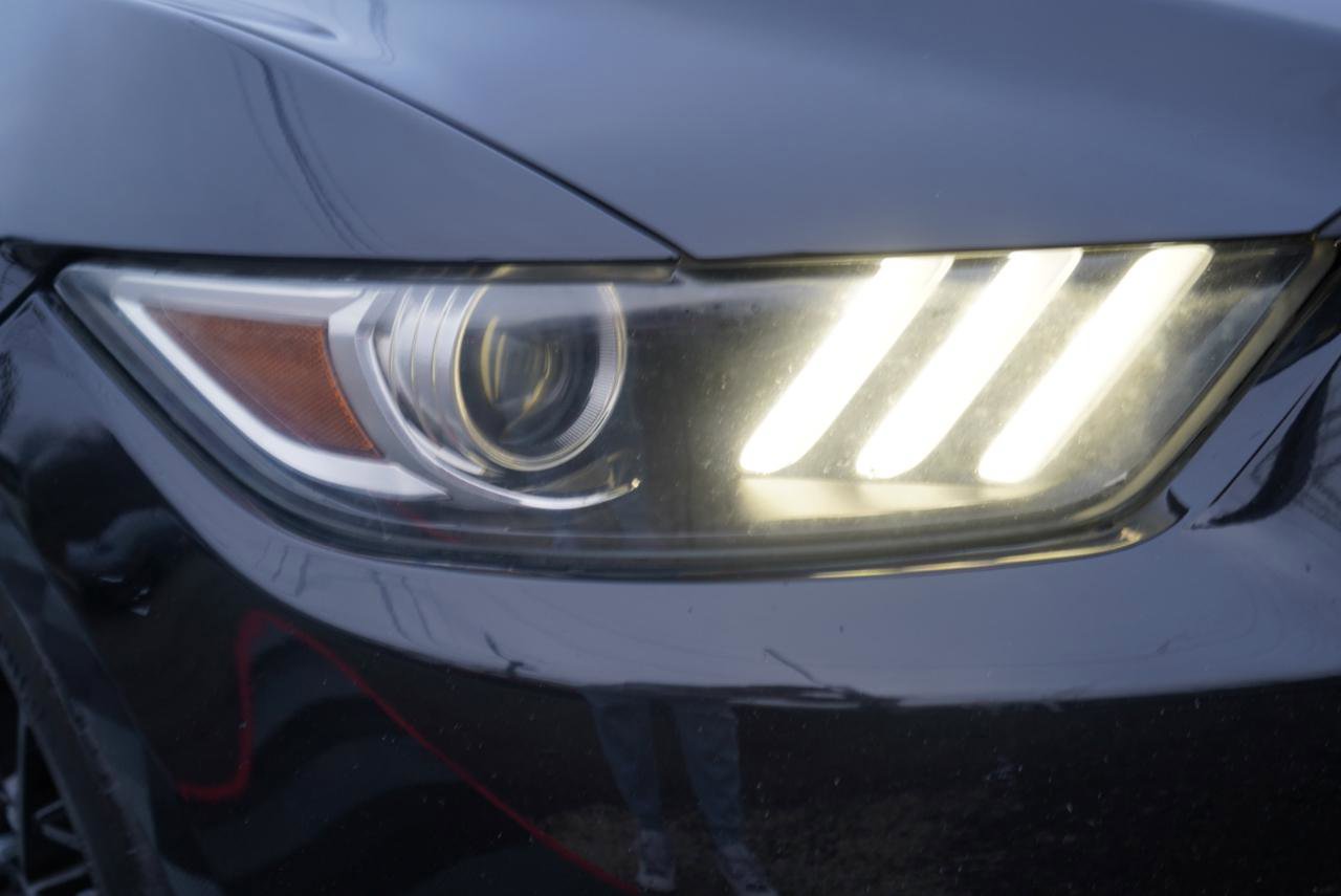 Used 2015 Ford Mustang GT Premium w/ Equipment Group 401A image 87