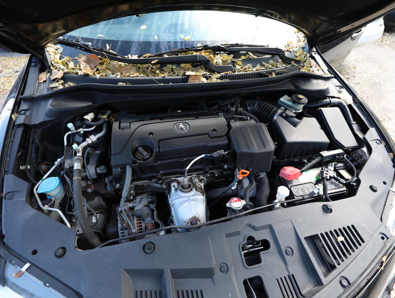 Used 2016 Acura ILX image 25