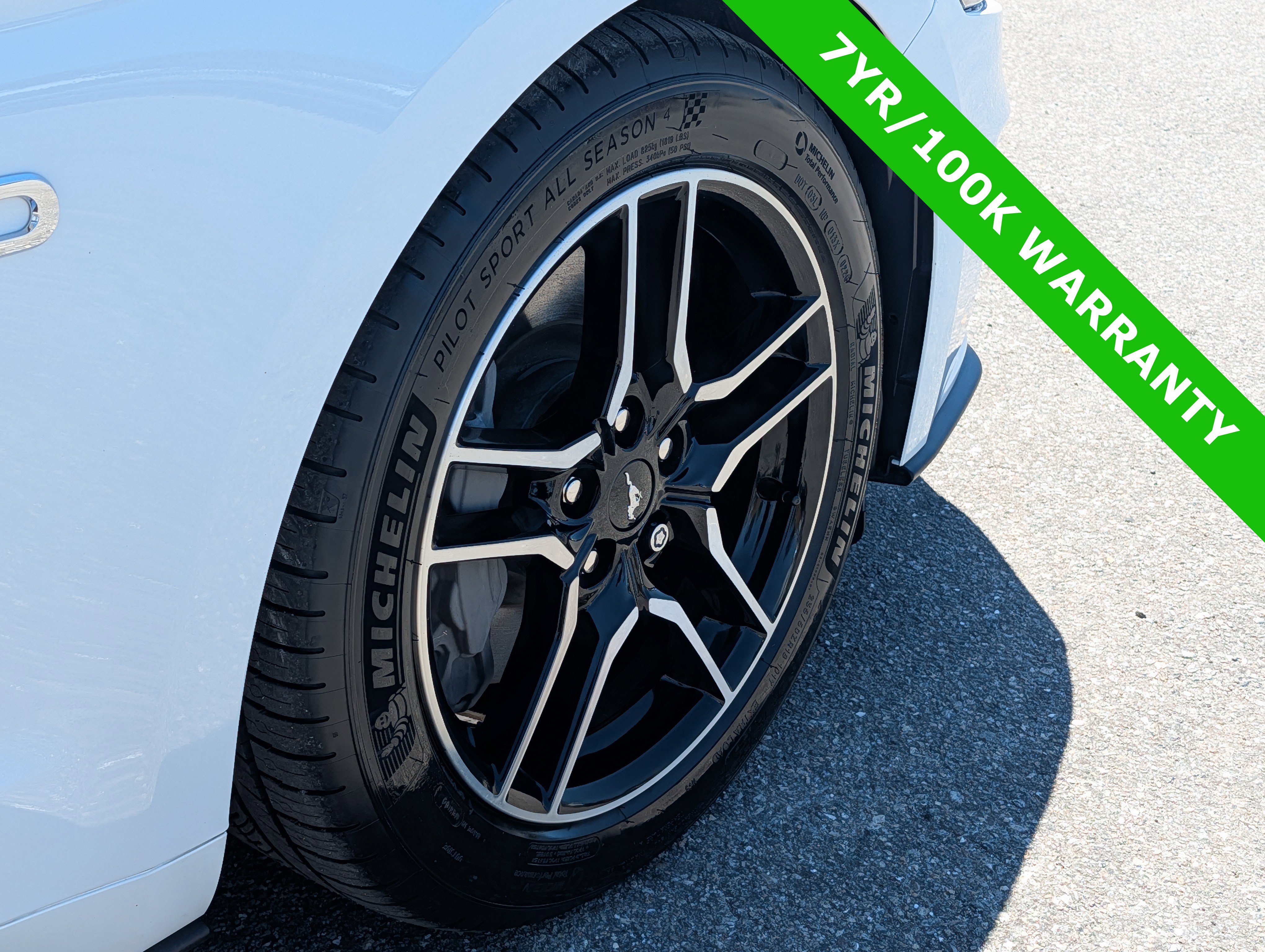Used 2021 Ford Mustang GT Premium w/ Equipment Group 401A RWD image 12