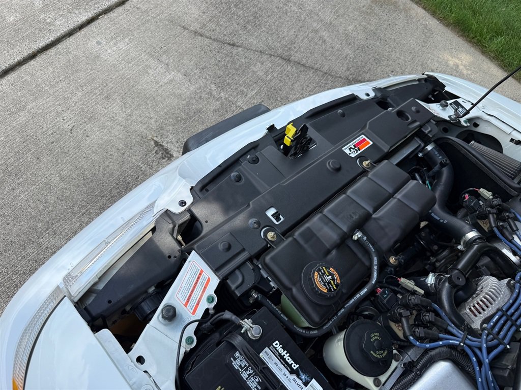 Used 1997 Ford Mustang Cobra RWD image 67