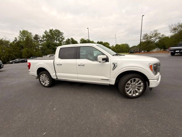 Used 2023 Ford F150 Limited AWD/4WD image 21