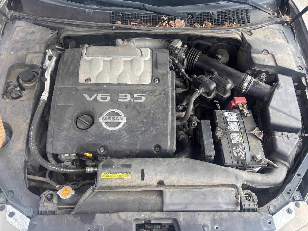 Used 2005 Nissan Maxima 3.5 SL w/ (S03) Driver Preferred Pkg image 16