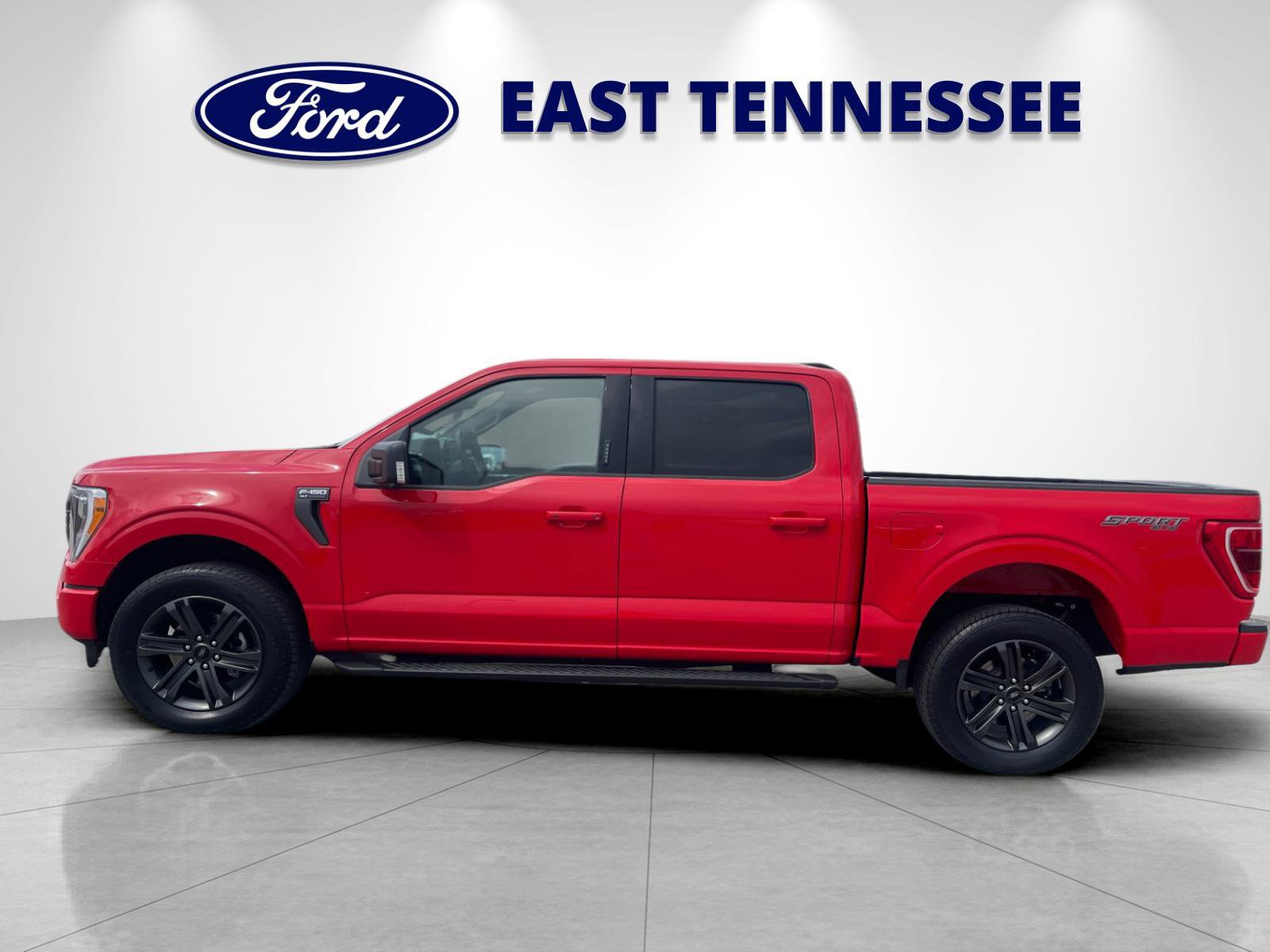 Used 2023 Ford F150 XLT w/ Equipment Group 302A High AWD/4WD image 6