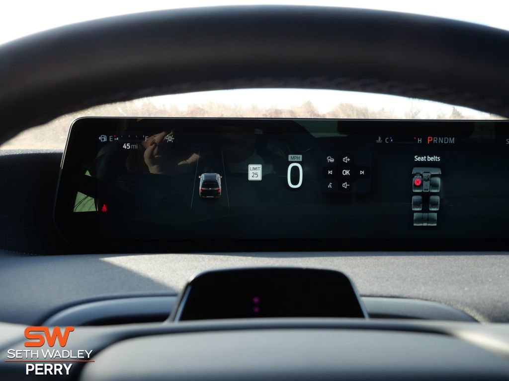 New 2025 Ford Expedition Max Platinum w/ Stealth Appearance Package image 21