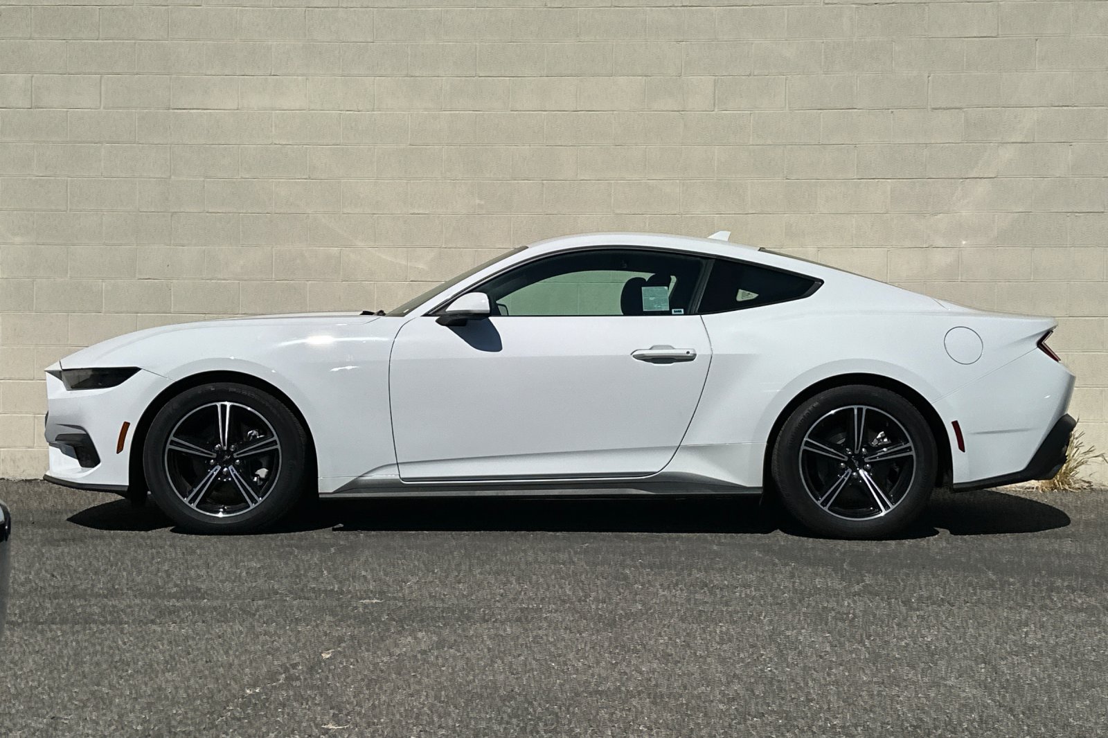 Used 2025 Ford Mustang Coupe RWD image 7