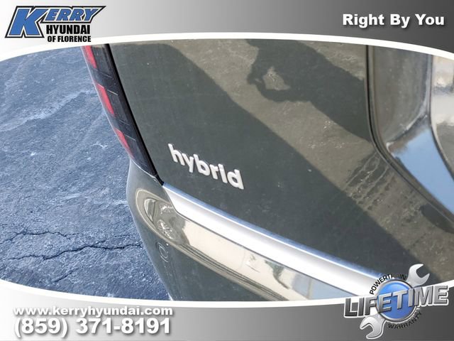 New 2026 Hyundai Palisade Calligraphy image 7