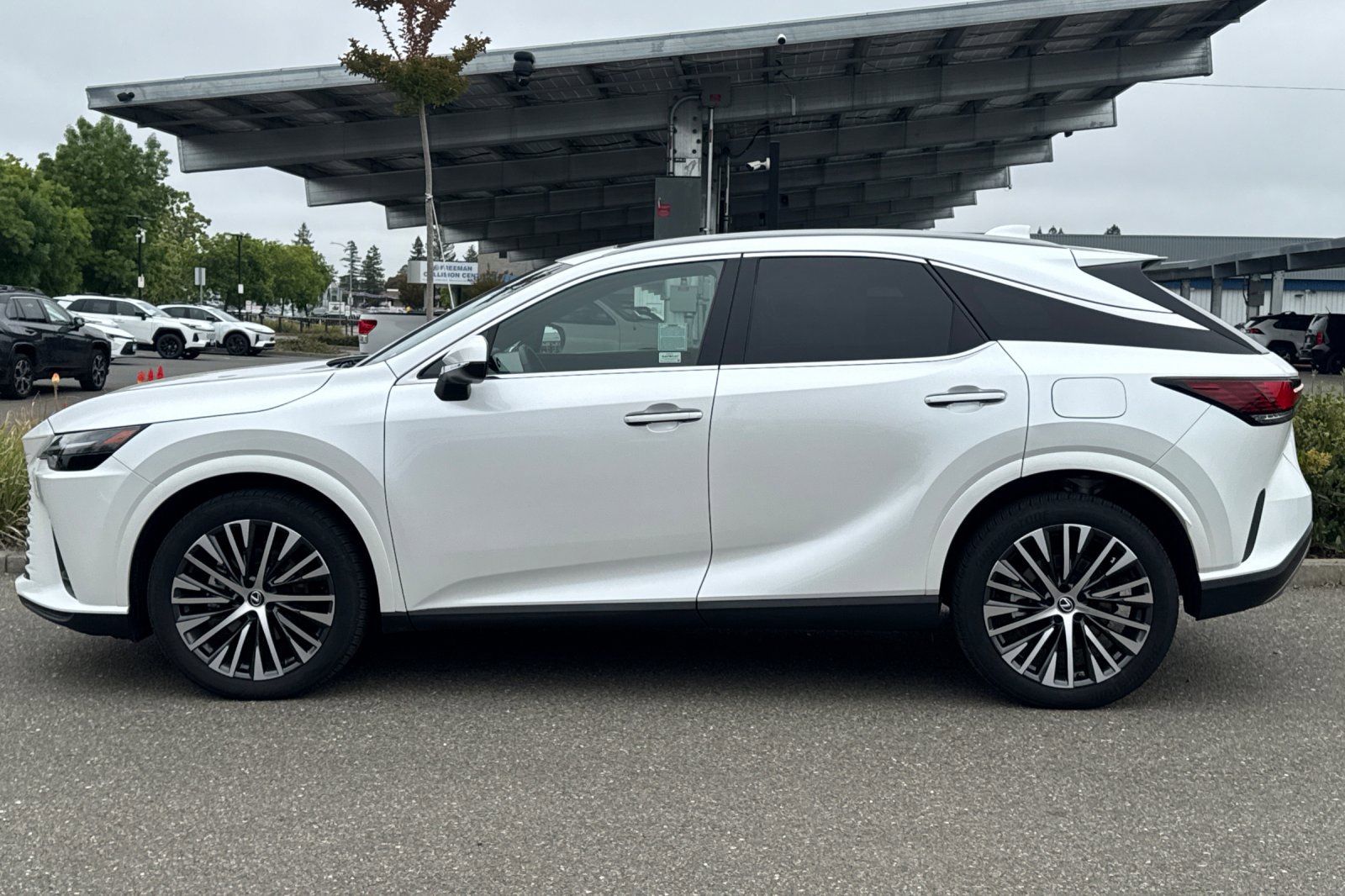 Used 2023 Lexus RX 350 w/ Cold Area Package AWD/4WD image 7