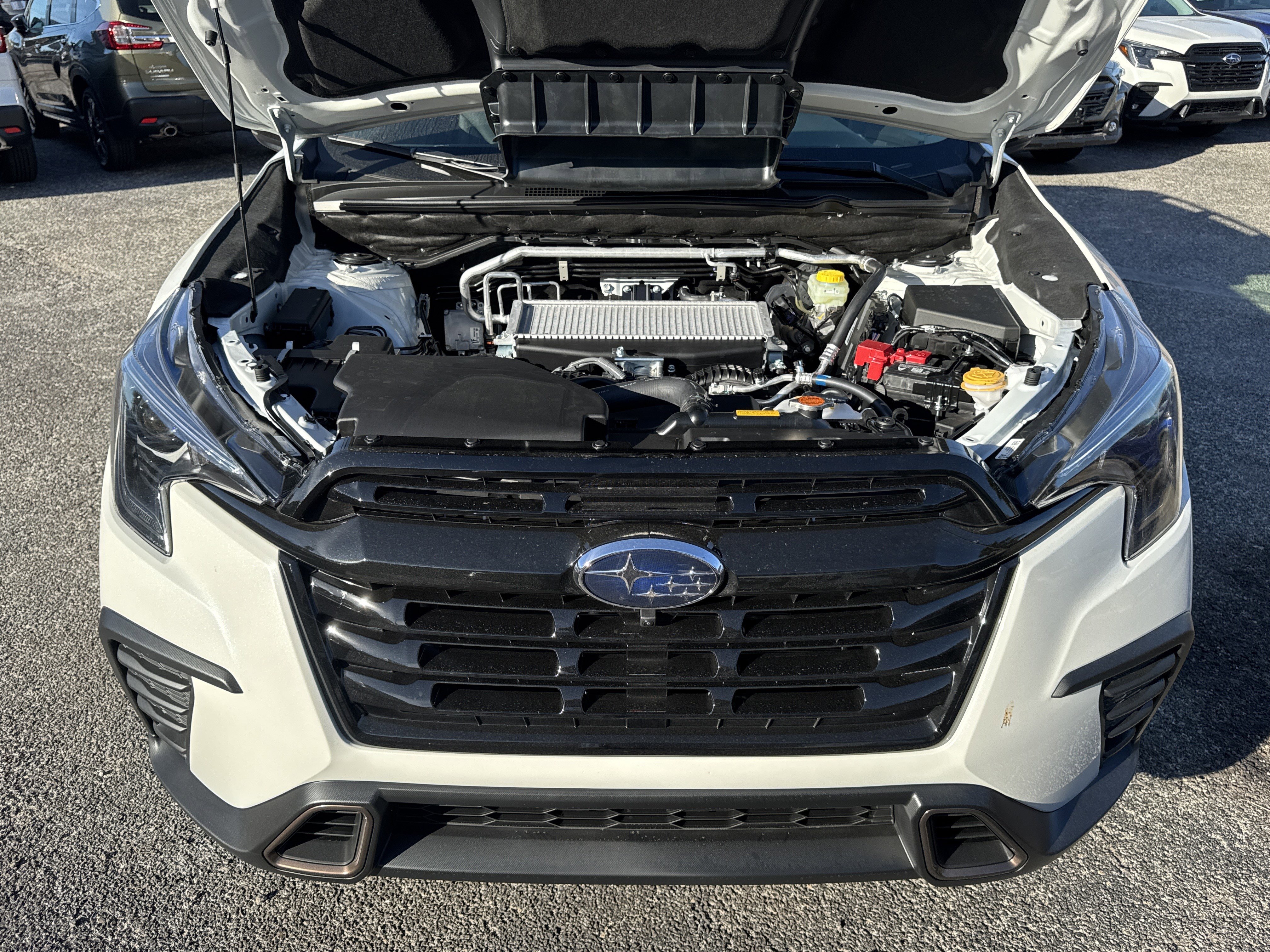 New 2026 Subaru Ascent Limited Bronze image 9